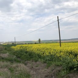 Auf dem Weg nach Edirne