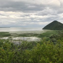 Meer- & Bergfahrt zum Skadarsko-See