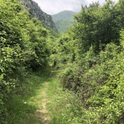 Canyon Matka & Fahrt nach Gostivar